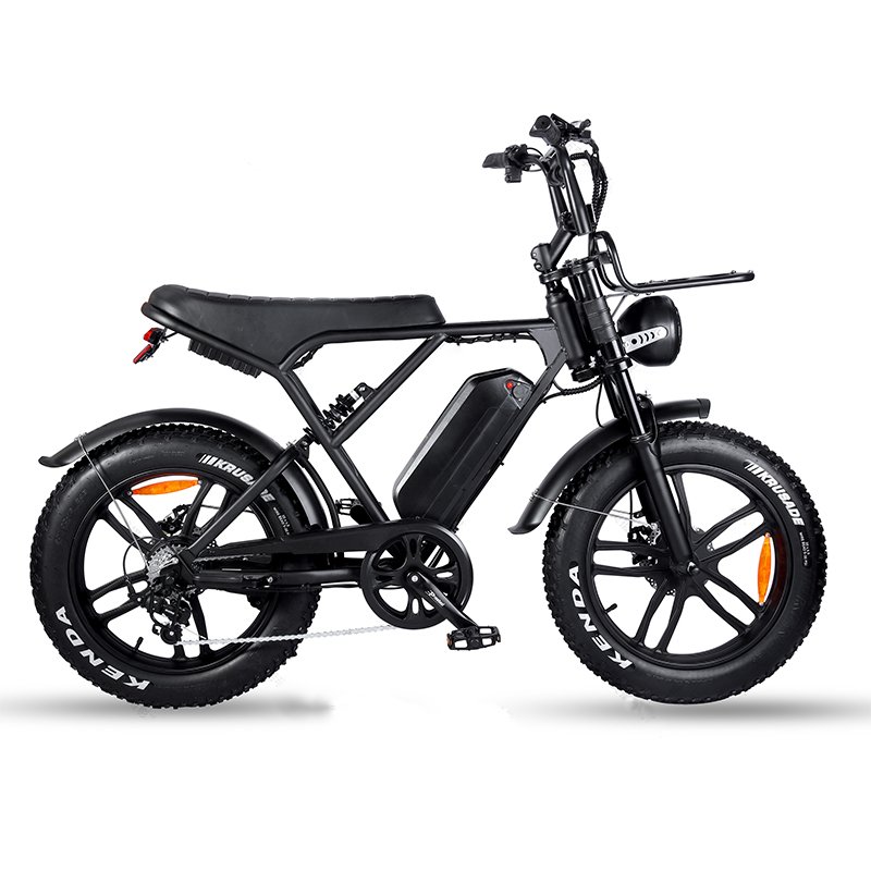 Hot sale 48V electric bike 250w/750w/1000w electric bicycle 20 inch electric mountain bike with disc brake or hydraulic brake