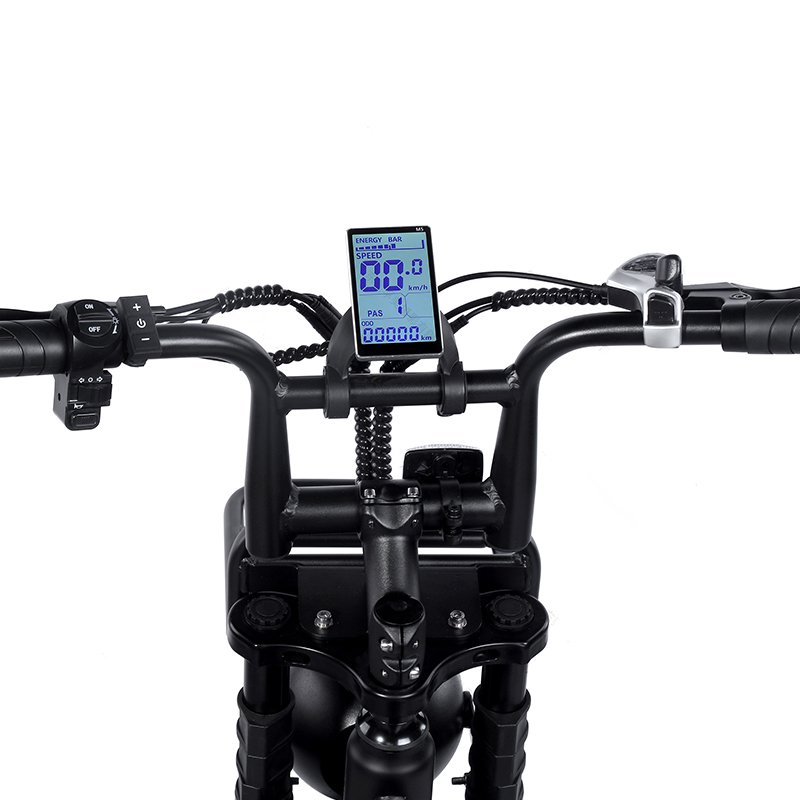 Hot sale 48V electric bike 250w/750w/1000w electric bicycle 20 inch electric mountain bike with disc brake or hydraulic brake