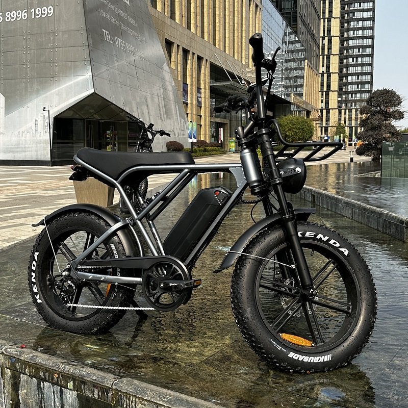 Hot sale 48V electric bike 250w/750w/1000w electric bicycle 20 inch electric mountain bike with disc brake or hydraulic brake