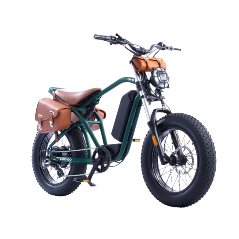 Electric bike with 55Km/h fat tires, electric mountain bike, off-road electric bike