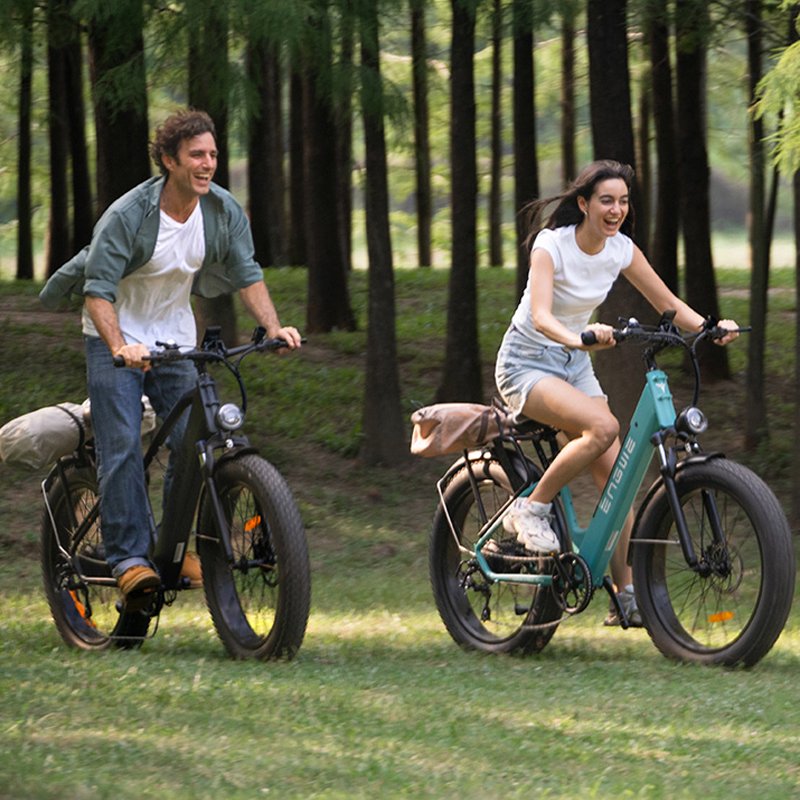 ENGWE E26 US Warehouse High Step Through 250W/750W 140KM wholesale city Ebike Dual Suspension All-Terrain E-bike Original bici