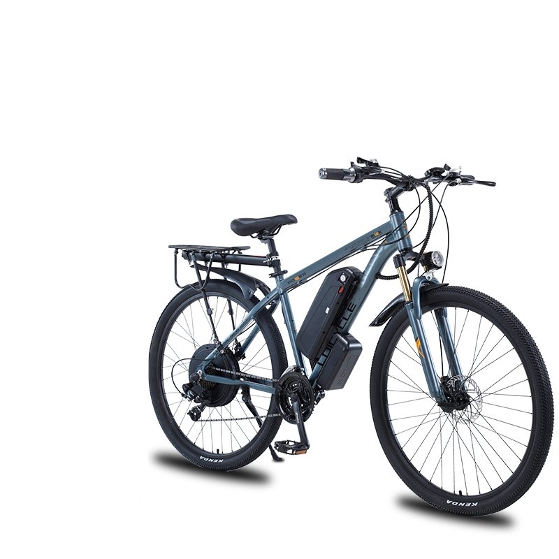 Aluminum Alloy Full Suspension Mountain Bike MTB 48V 500/750/1000W Electric Bike