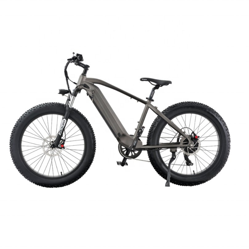 750 Watt Electric Mountain Bike Off Road Electric Bicycle with High Strength Aluminum Alloy Frame
