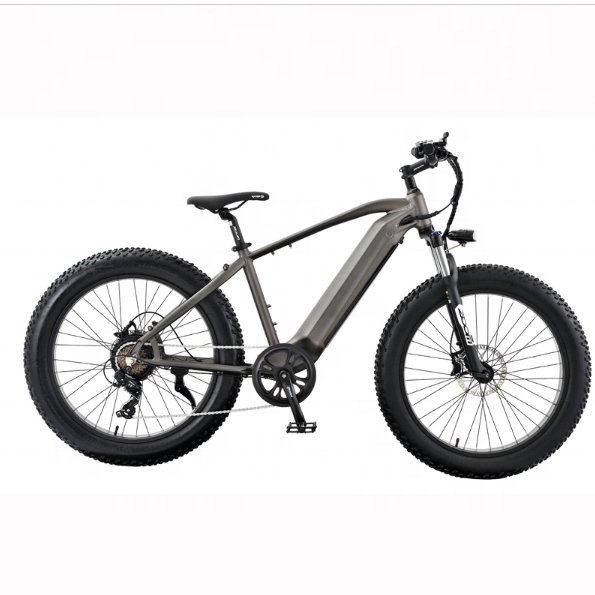750 Watt Electric Mountain Bike Off Road Electric Bicycle with High Strength Aluminum Alloy Frame