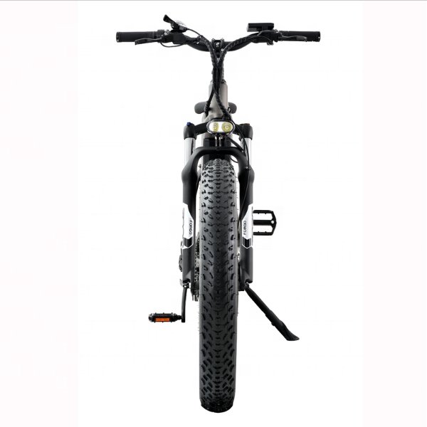 750 Watt Electric Mountain Bike Off Road Electric Bicycle with High Strength Aluminum Alloy Frame