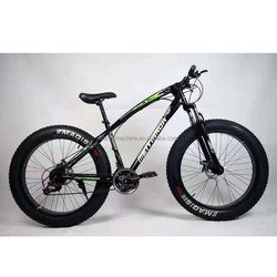 Folding Bicycle