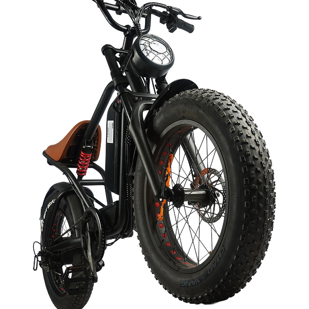 Factory Direct 20inch 48V15AH 1000W Fat Tire e-Bike Electric Dirt Mountain Bicycle with Removable 750W Motor Power K7