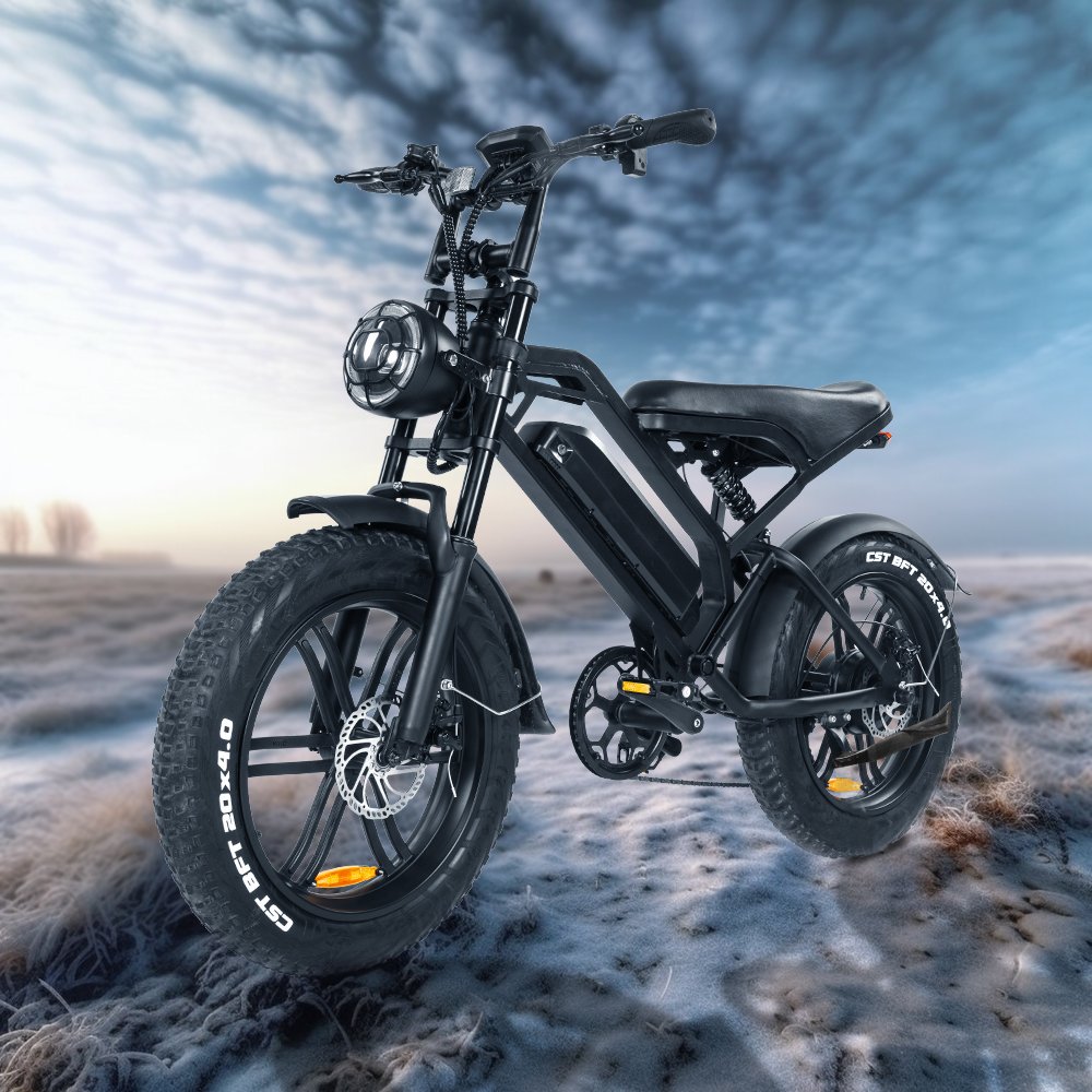 Qmwheel Electric Scooter Adults Electric City Bike Retro Smlro Electric Bike Factorye Bicycle Long Range Electric Bike