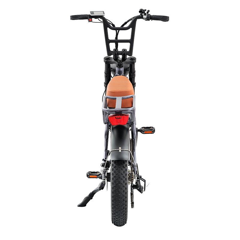 Electric City Bicycle Scooter Fat Tire 48v Electric Dirt Bike Adult Off-road Motorcycles Cheap 500W 750W Mountain Bike