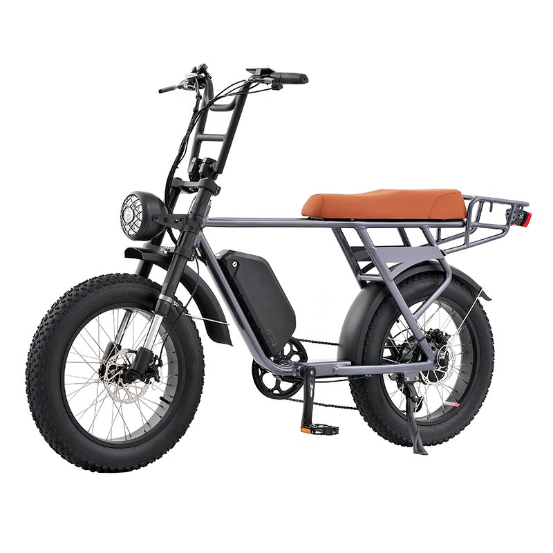 Electric City Bicycle Scooter Fat Tire 48v Electric Dirt Bike Adult Off-road Motorcycles Cheap 500W 750W Mountain Bike