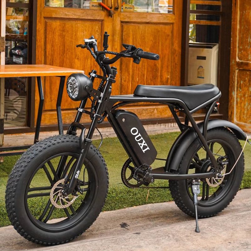 20inch 1000W Electric Mountain Bicycle China Electric Mountain Bike Fat Tire Electric Bike