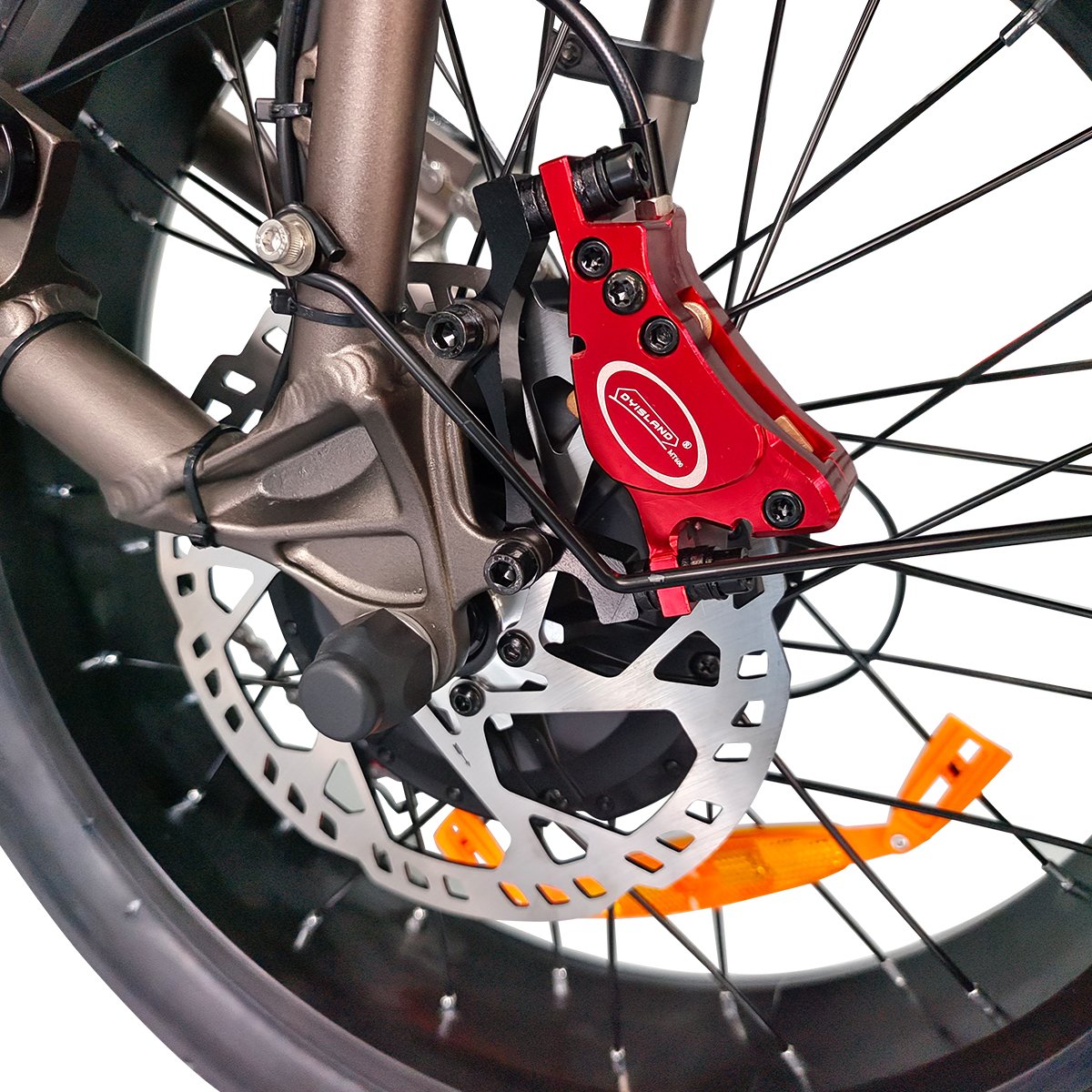 Tourwheel lcd display pedal assist bikes 500W 750W 1000W 48v battery city electric bicycle 73 fat bike tires 20x4 e fat bike