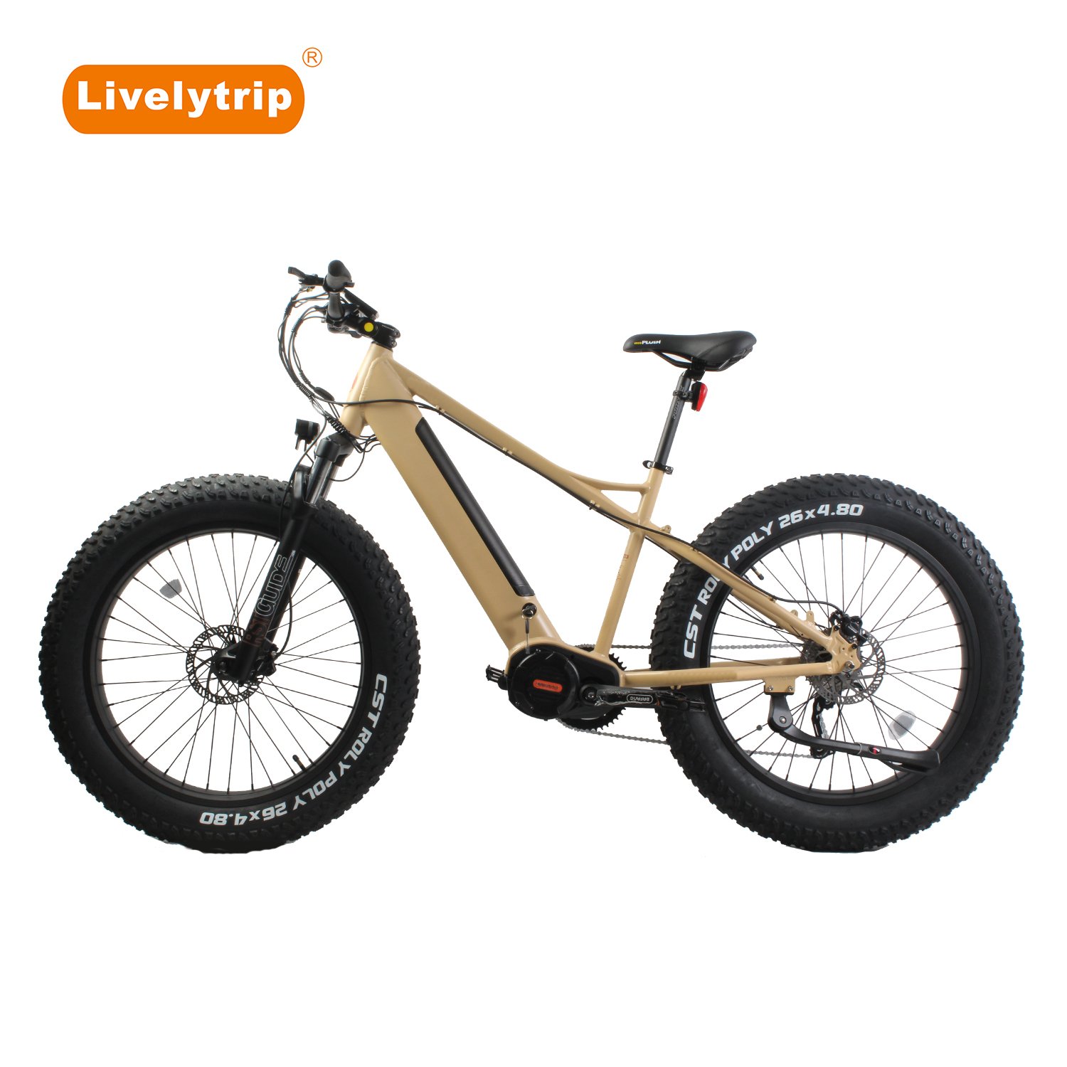 Bafang M620 1000W mid drive fat tire electric mountain bike with Torque Pedal Assist Sensor
