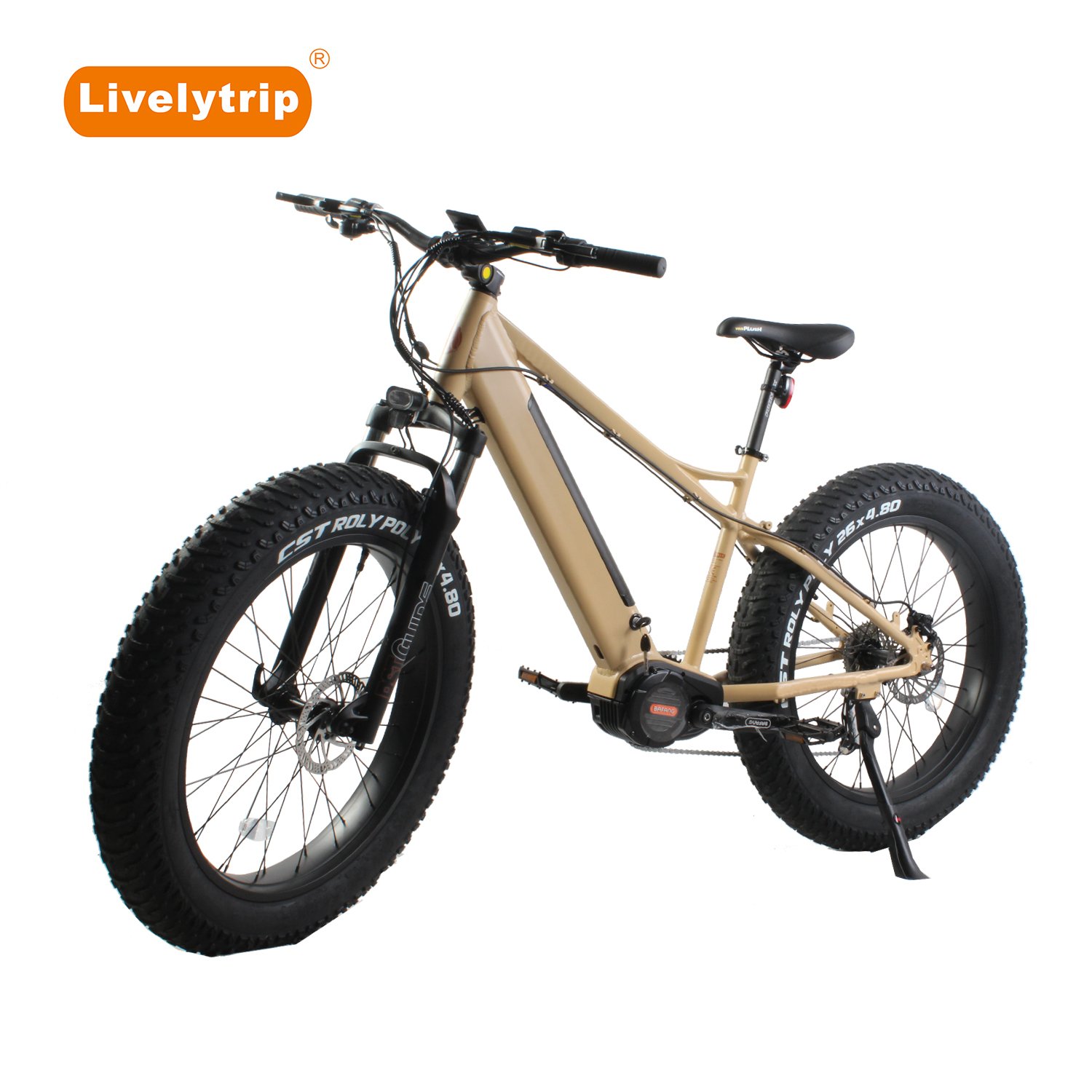Bafang M620 1000W mid drive fat tire electric mountain bike with Torque Pedal Assist Sensor