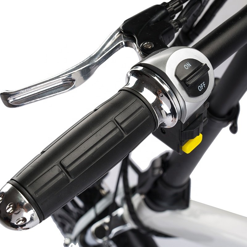 Folding Electric Bicycle Electric City Bike Foldable Electric Bike 2024 Hot Sale Mini Size 250W 36V 16 Inch Lithium Battery