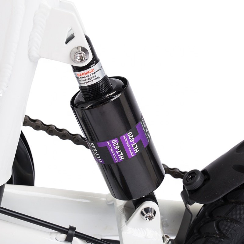 Folding Electric Bicycle Electric City Bike Foldable Electric Bike 2024 Hot Sale Mini Size 250W 36V 16 Inch Lithium Battery