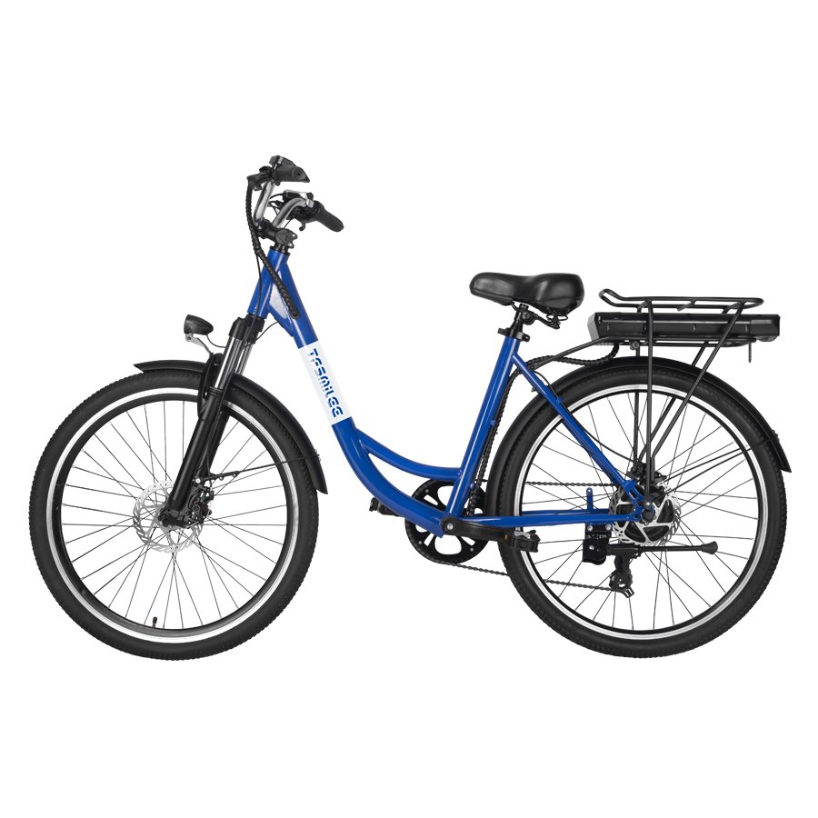 Multi purpose electric bicycle disc brake 250w motor, adult city outdoor riding electric cargo bicycle