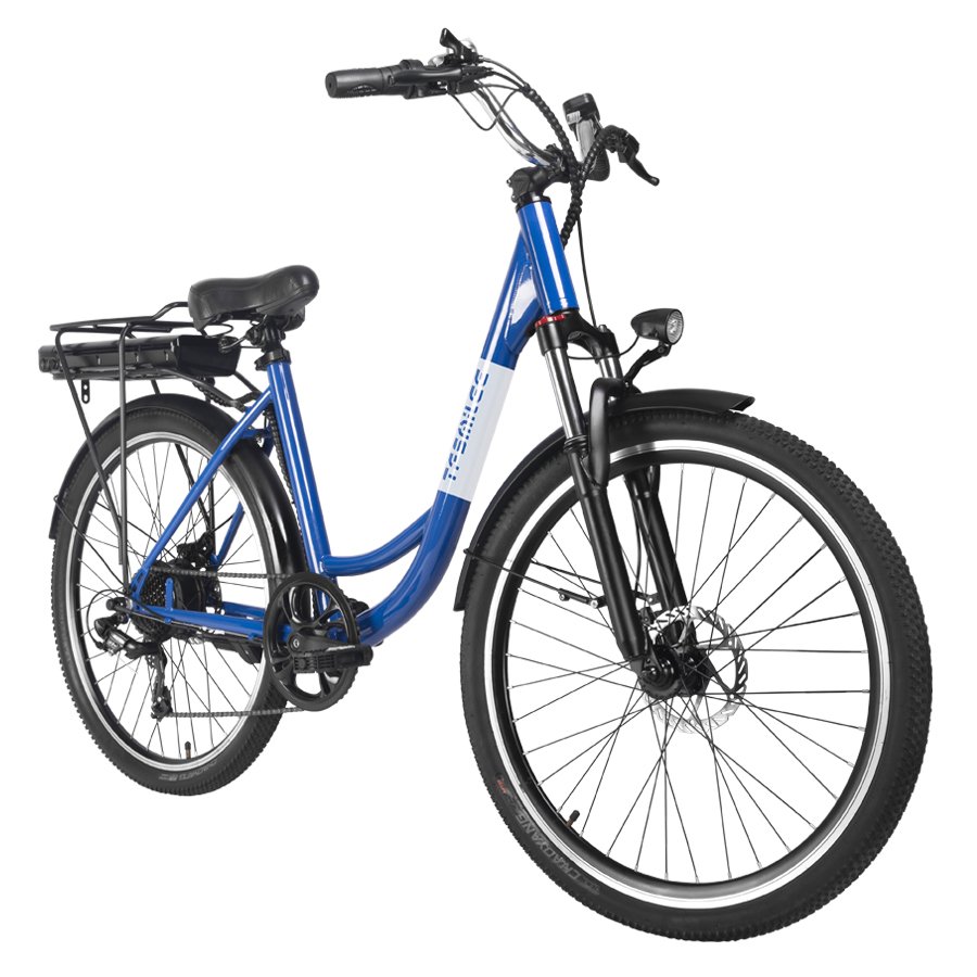 Multi purpose electric bicycle disc brake 250w motor, adult city outdoor riding electric cargo bicycle