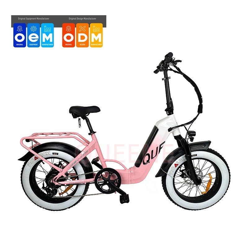 QUEENE EU US Warehouse 1000W Aluminum Fat Tire E Bike 48V Dirt Electric City Bike Conversion Kit for Adults
