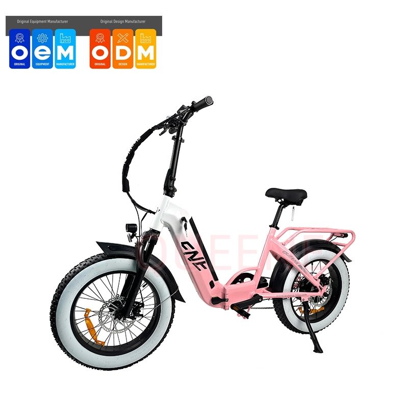 QUEENE EU US Warehouse 1000W Aluminum Fat Tire E Bike 48V Dirt Electric City Bike Conversion Kit for Adults