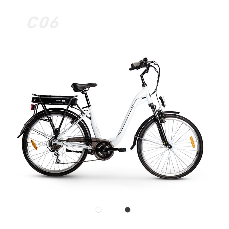Electric City bike Lithium Battery Electric bike 250W 36V Electric Bicycle with EN15194