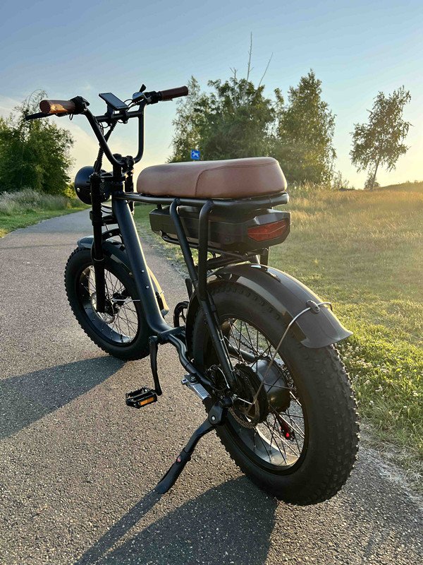 EU  Off Road Electric Bike 48V 17.5Ah 1000W Motor Fat Tire Lithium Battery Mountain Bike Adult E-Bike Bicycle