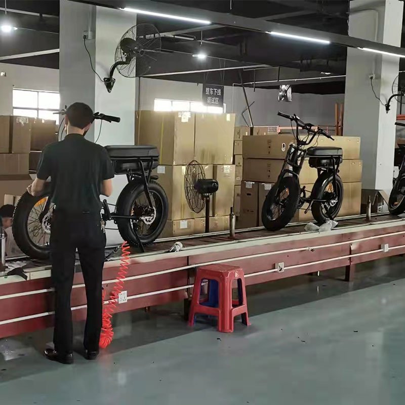 EU  Off Road Electric Bike 48V 17.5Ah 1000W Motor Fat Tire Lithium Battery Mountain Bike Adult E-Bike Bicycle