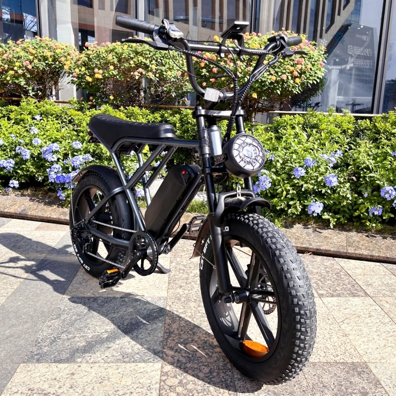 OUXI H9 1000W Electric Mountain Bike 20-Inch Fat Tire E-Bike 250W Steel Frame EU/USA Warehouse Ready Stock 25km/h 48V Fatbike
