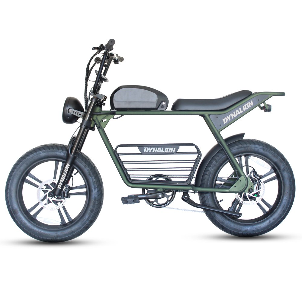 1000W Electric Dirt Bike Electric Bike for Adults with 48V 16AH Battery Long Rang electric mountain bike