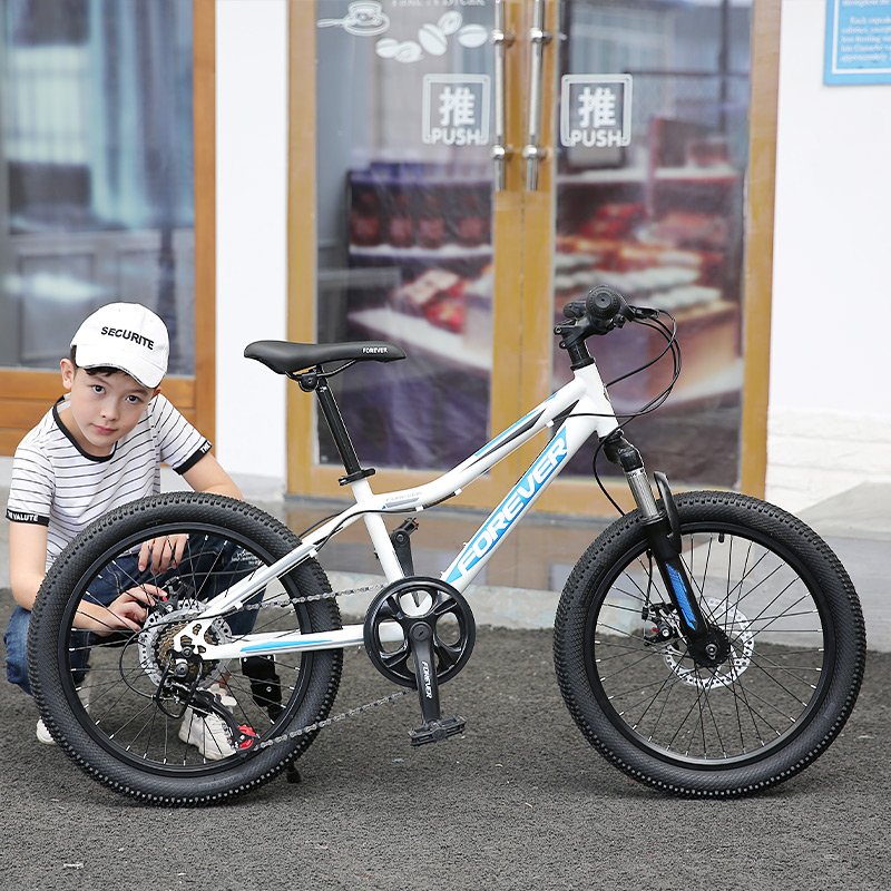 FOREVER Y298 20 Inch Single Speed New Arrival Good Price Downhill Mountain Bike For Men And Woman