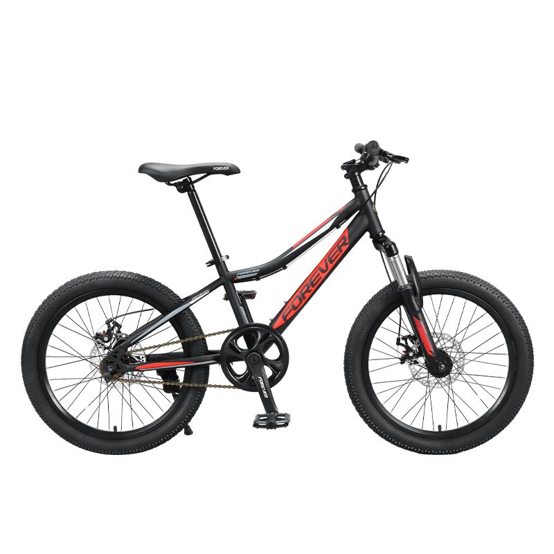 FOREVER Y298 20 Inch Single Speed New Arrival Good Price Downhill Mountain Bike For Men And Woman