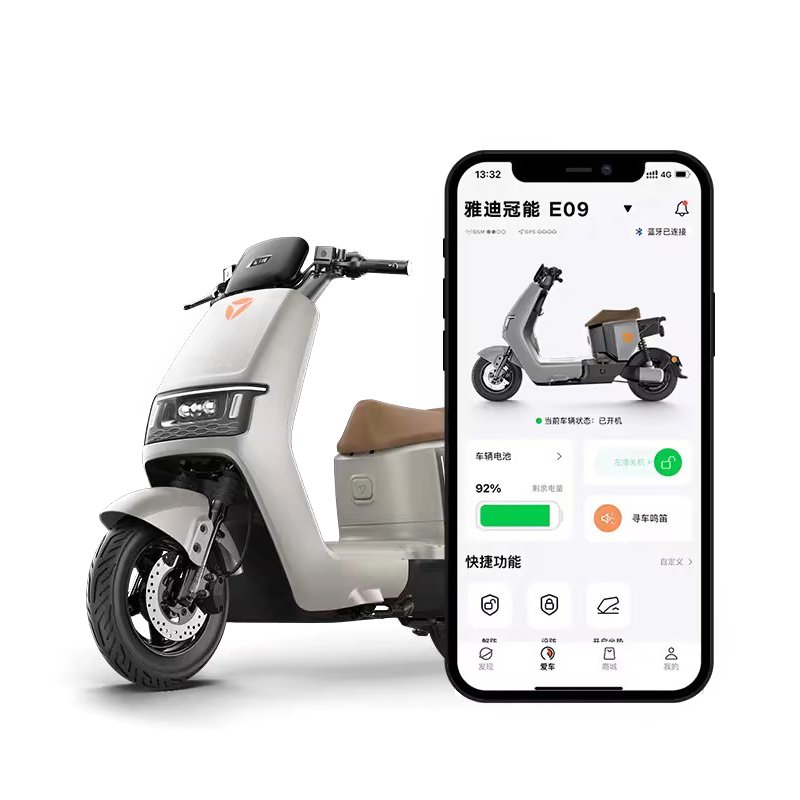 Wholesale 1000W Adult E Bike Electric Cargo Bicycle Electric Bike Scooter Electric Hybrid Bike Electric Moped