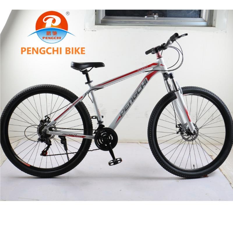 High Quality Mountain Bike Fixed Gear 29 Inch Shock Absorber Dual Disc Brake Bike 24 Speed Adult Mountain Bike Customizable