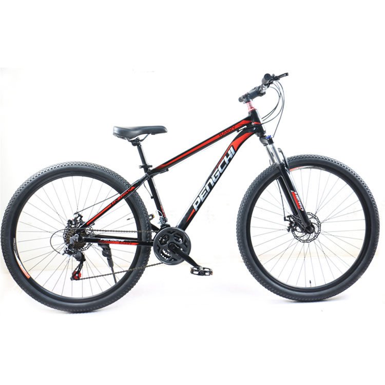 High Quality Mountain Bike Fixed Gear 29 Inch Shock Absorber Dual Disc Brake Bike 24 Speed Adult Mountain Bike Customizable