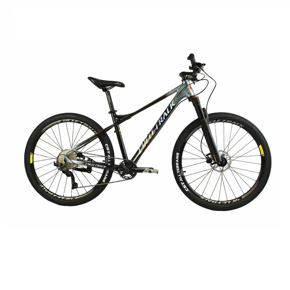 Cycletrack Factory Wholesale CK-780 12 Speed Aluminum Alloy Bicycle Light MTB 29 Inch Mountain Bike for Adults with Oil Brake