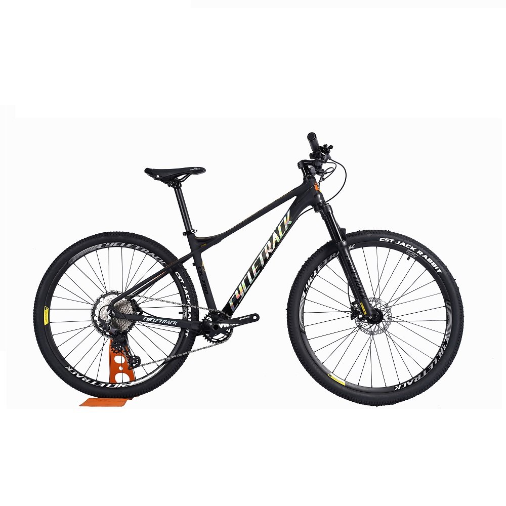 Cycletrack Factory Wholesale CK-780 12 Speed Aluminum Alloy Bicycle Light MTB 29 Inch Mountain Bike for Adults with Oil Brake