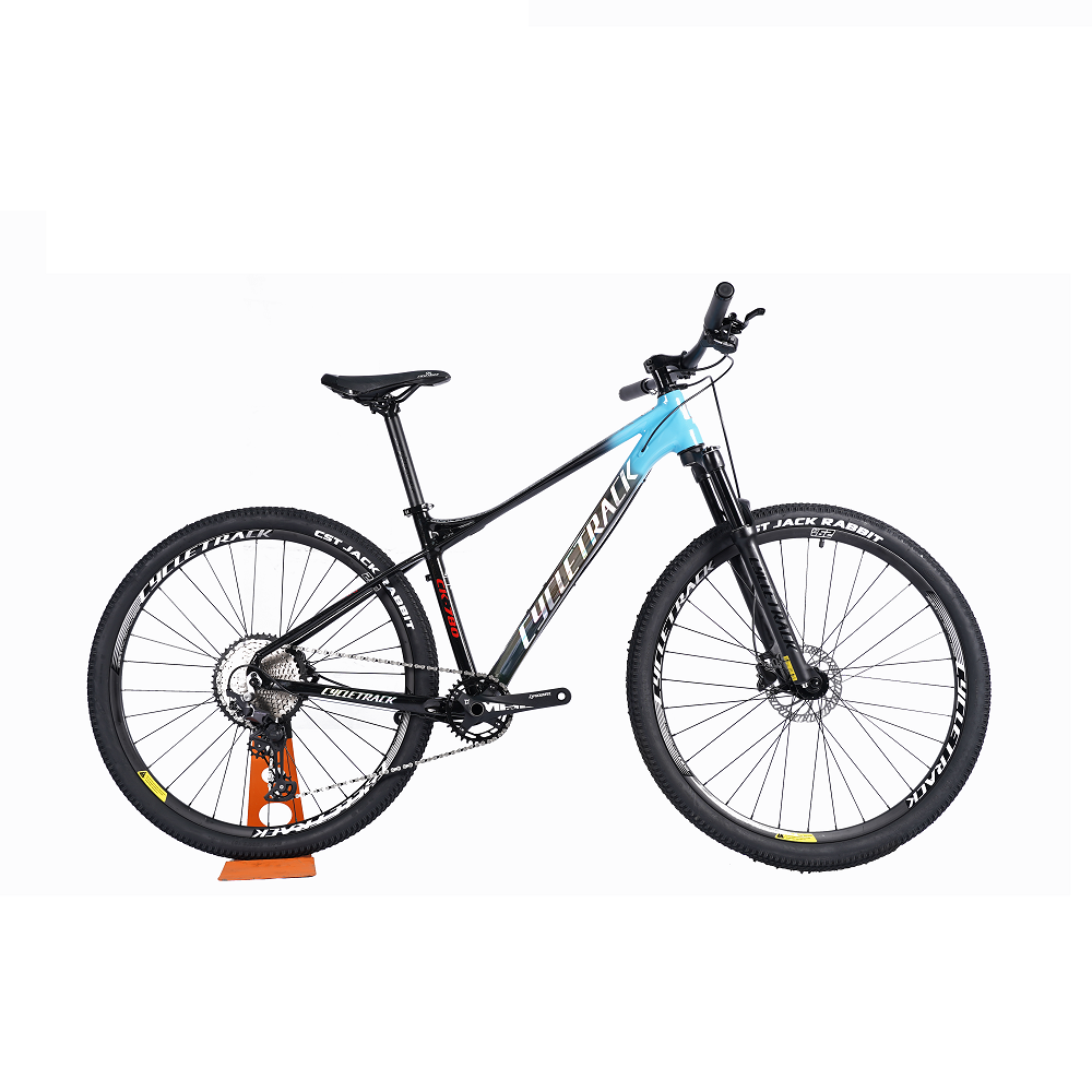 Cycletrack Factory Wholesale CK-780 12 Speed Aluminum Alloy Bicycle Light MTB 29 Inch Mountain Bike for Adults with Oil Brake
