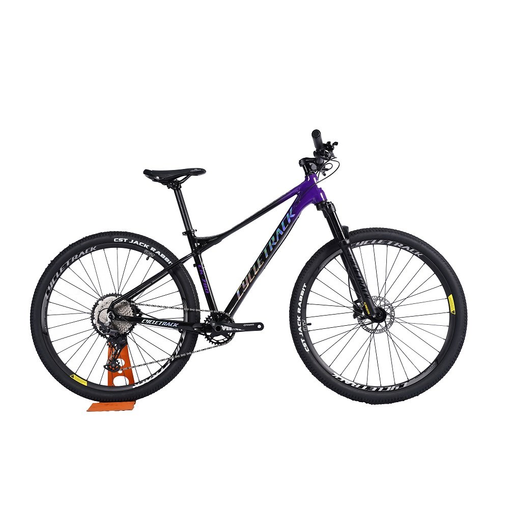 Cycletrack Factory Wholesale CK-780 12 Speed Aluminum Alloy Bicycle Light MTB 29 Inch Mountain Bike for Adults with Oil Brake