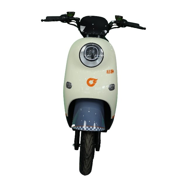 High Quality Urban Commuting Electric City Bicycle Long Range Ebike with Big Tyre for Commute Listrik Bike for Daily Use