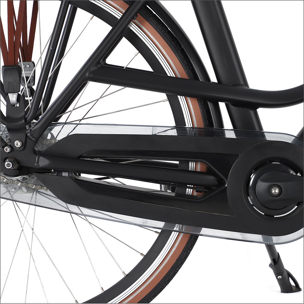 EZREAL EU popular 700C 250w electric city bike front hub 2 seats ebike with Shimano NEXUS 7 speed