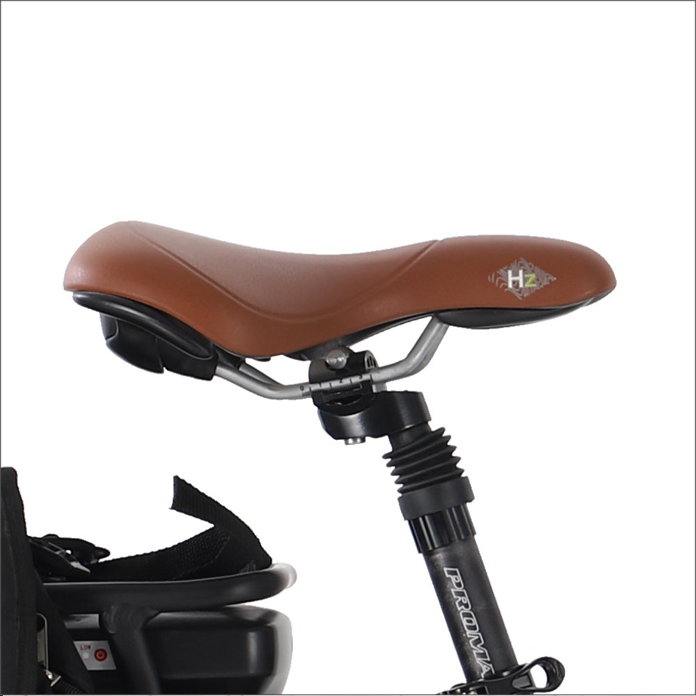 EZREAL EU popular 700C 250w electric city bike front hub 2 seats ebike with Shimano NEXUS 7 speed
