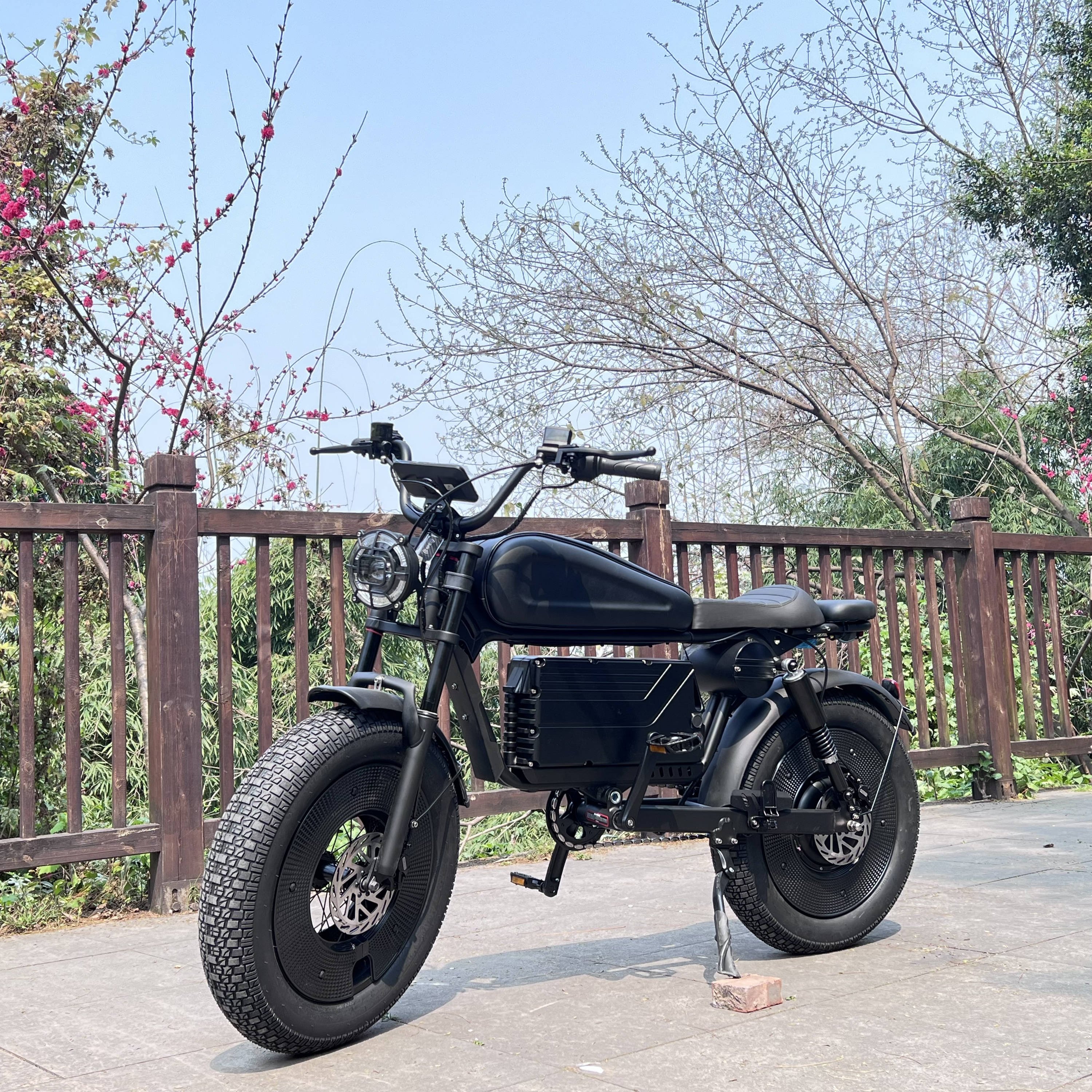 From China Cheap of USA Warehouse Ready Stock Electric Bike 1500 w 20 inch Fat Tire E-bike 1500w 3000w Urban Electric bike