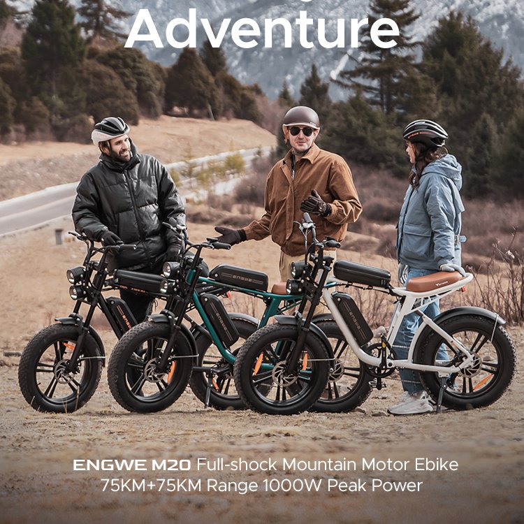 EU/UK/US Stock ENGWE M20 750W Road City Electric Bike Full Suspension Electric Mountain Bike Single Battery Electric MTB Cycle
