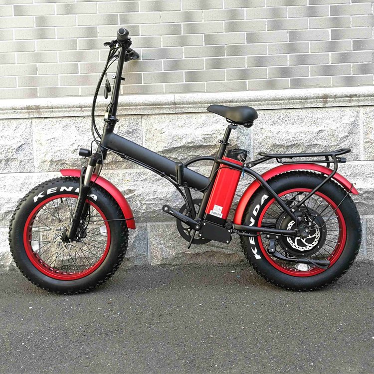 e bikes fat tyre 1000W/2000W 20Ah 48V women e bike downhill e-bike mountain bike Motorcycles cycle