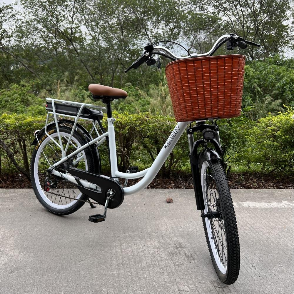 DSY 24inch 26 inch 48v electr bike 7 Speed europe eu Poland European warehouse 36v 350w adult city bicycle electric bike