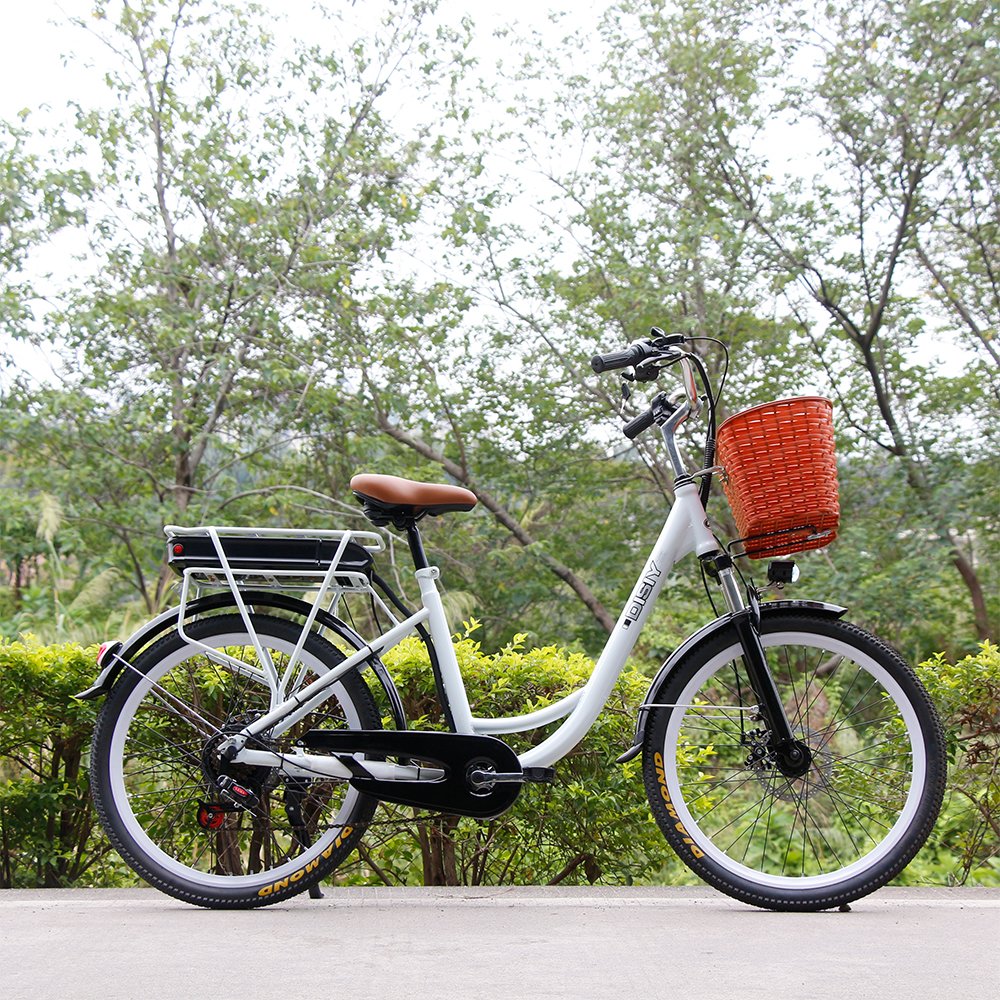 DSY 24inch 26 inch 48v electr bike 7 Speed europe eu Poland European warehouse 36v 350w adult city bicycle electric bike