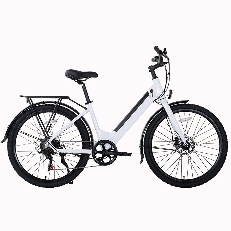 high quality CE approved 350w 36v brushless geared rear wheel lady electric ebike