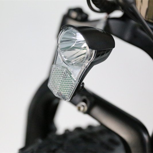 Hot sale bicycle easy rider 1000W 2000W hunting off road electric bike / fat tire electric e bike electric fat bike