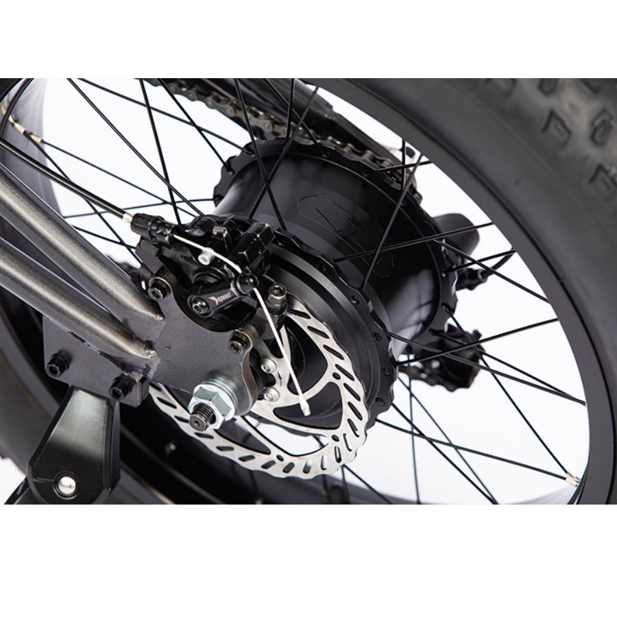 Hot Sell Electric Bike Fat Tire Mountain Off-road Ebike with High Speed Moto Sport Electric E Bike City Electric Bicycle E-bike