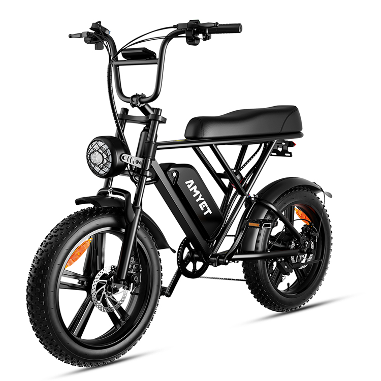 High Quality 250W 500W 750W 1000W 2000W Mountain Bike Hydraulic Disc Brake Dual Shock-Absorber E- bike V20 S8 Cycling Bicycle